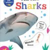 first-facts-sharks
