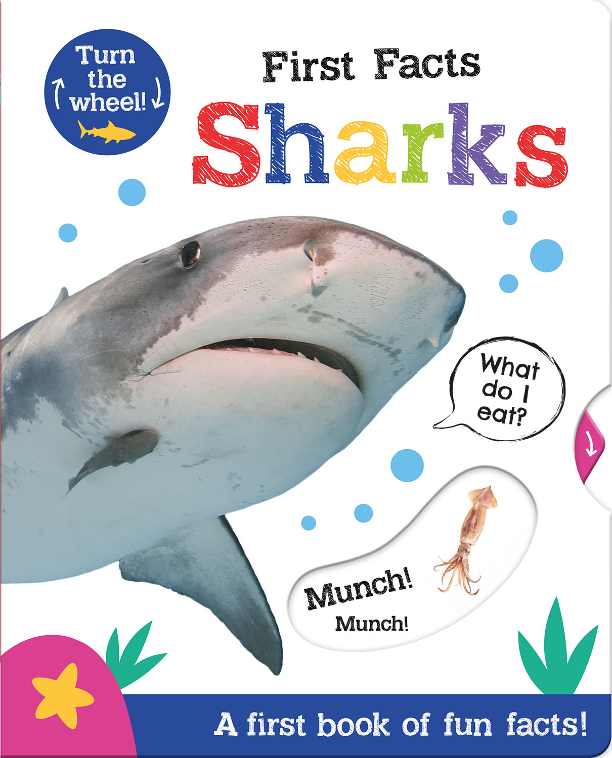 first-facts-sharks