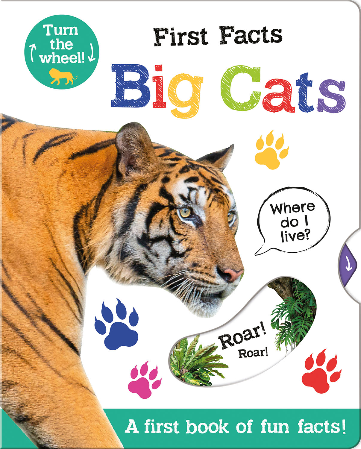 first-facts-big-cats