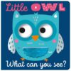 little-owl-what-can-you-see