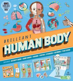 brilliant-human-body