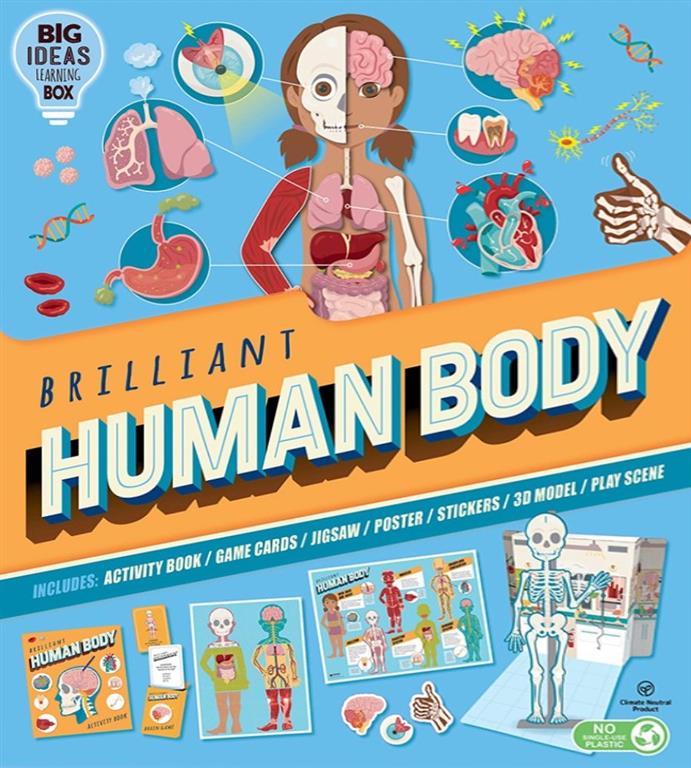 brilliant-human-body