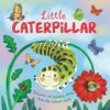 little-caterpillar-discover-an-amazing-story-from-the-natur