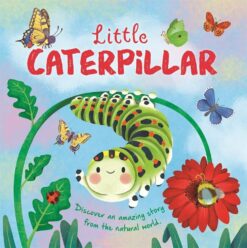 little-caterpillar-discover-an-amazing-story-from-the-natur