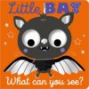 little-bat-what-can-you-see