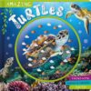Amazing Turtles | ISBN 9781805448952 | Kalimat Store