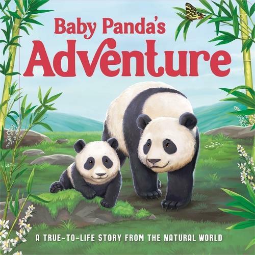 baby-pandas-adventure