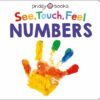 see-touch-feel-numbers