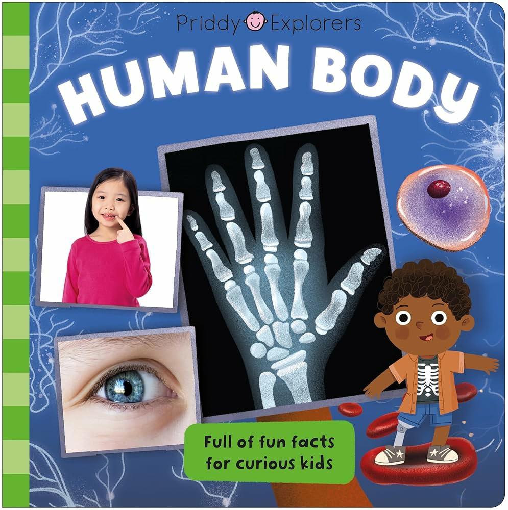 priddy-explorers-human-body