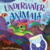 hide-and-seek-underwater-anima