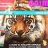 animals-500-pc-jigsaw-and-boo