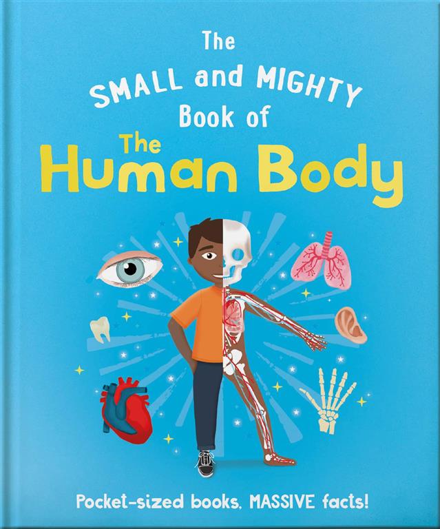 human-body-2