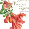 plants-of-the-quran-history-culture