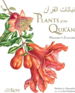 plants-of-the-quran-history-culture