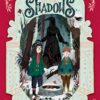 figure-in-the-shadows
