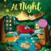 what-can-you-see-at-night