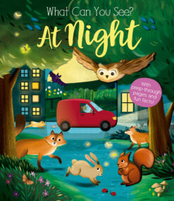 what-can-you-see-at-night