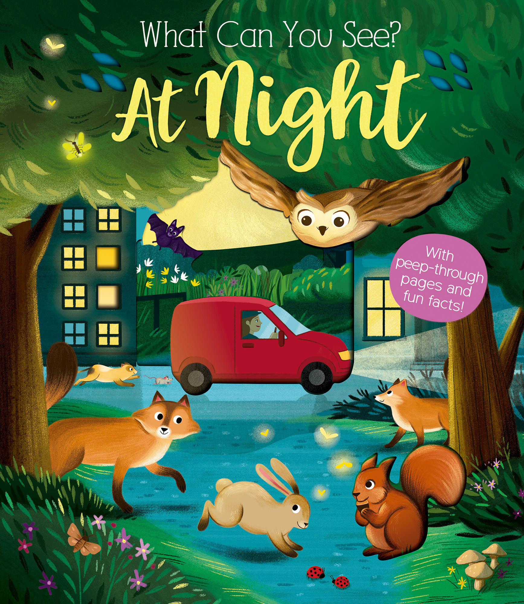 what-can-you-see-at-night