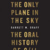 the-only-plane-in-the-sky