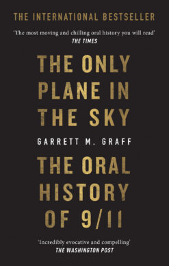 the-only-plane-in-the-sky