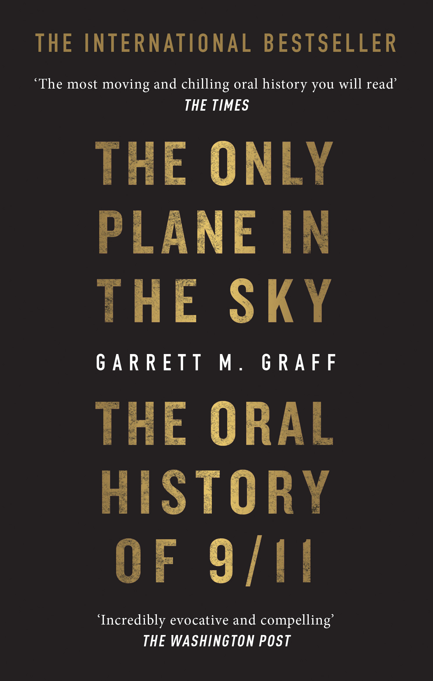 the-only-plane-in-the-sky