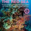 underwater-guide-to-the-red-sea-the-best-diving-snorkell