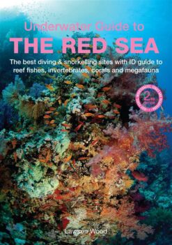 underwater-guide-to-the-red-sea-the-best-diving-snorkell