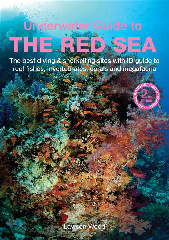 underwater-guide-to-the-red-sea-the-best-diving-snorkell