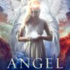 angel-reading-cards
