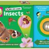 look-and-learn-insects