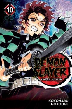 demon-slayer-kimetsu-no-yaiba-3