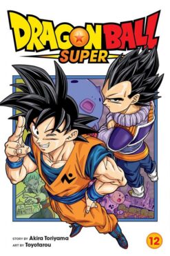 dragon-ball-super-vol-12-2