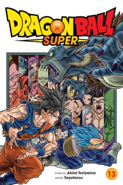 dragon-ball-super-vol-13