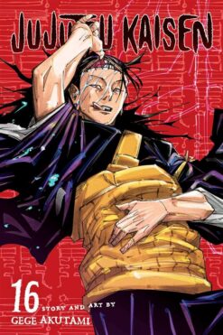 jujutsu-kaisen-vol-16
