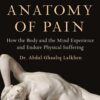 an-anatomy-of-pain