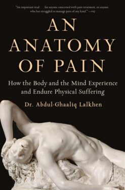 an-anatomy-of-pain