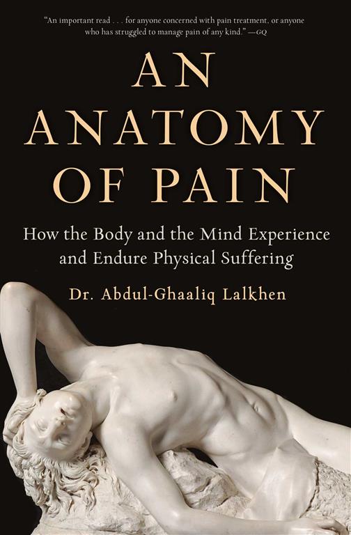 an-anatomy-of-pain