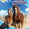 world-of-horses-my-busy-book