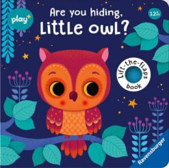 play-are-you-hiding-little-owl