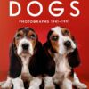 dogs-photographs-1941-1991-photographs-by-walter-chandoha