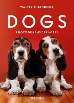 dogs-photographs-1941-1991-photographs-by-walter-chandoha
