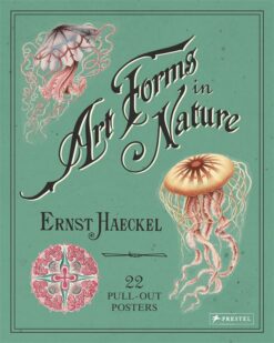 art-forms-in-nature-22-pull-out-posters