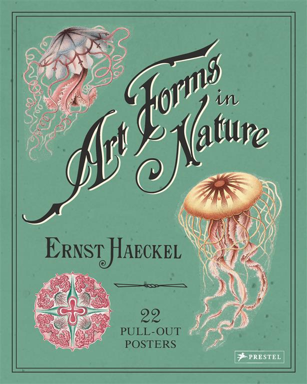 art-forms-in-nature-22-pull-out-posters