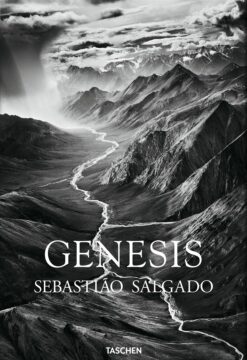 genesis