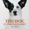 the-dog-in-photography-1839-today