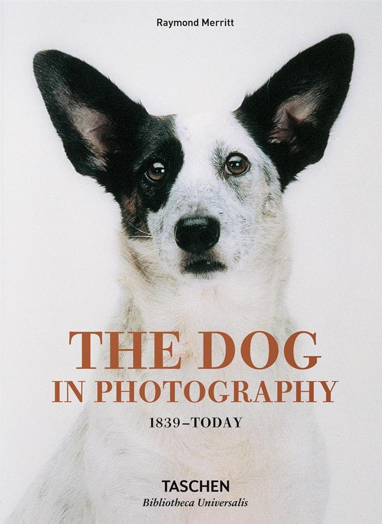 the-dog-in-photography-1839-today
