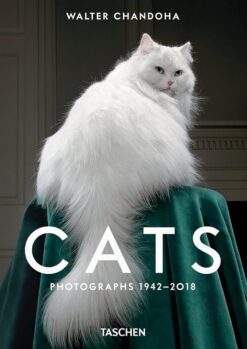Cats: Photographs 1942-2018
