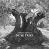 olive-trees