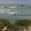 egypts-wilderness-and-the-quest-for-conservation