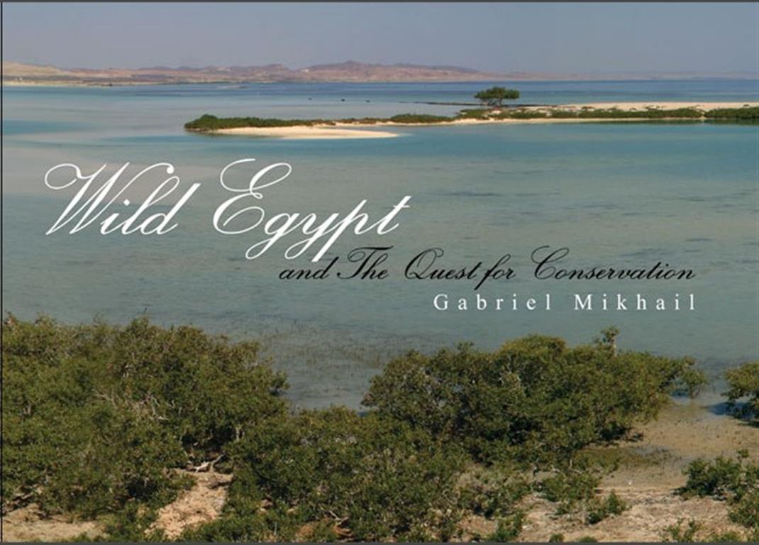 egypts-wilderness-and-the-quest-for-conservation